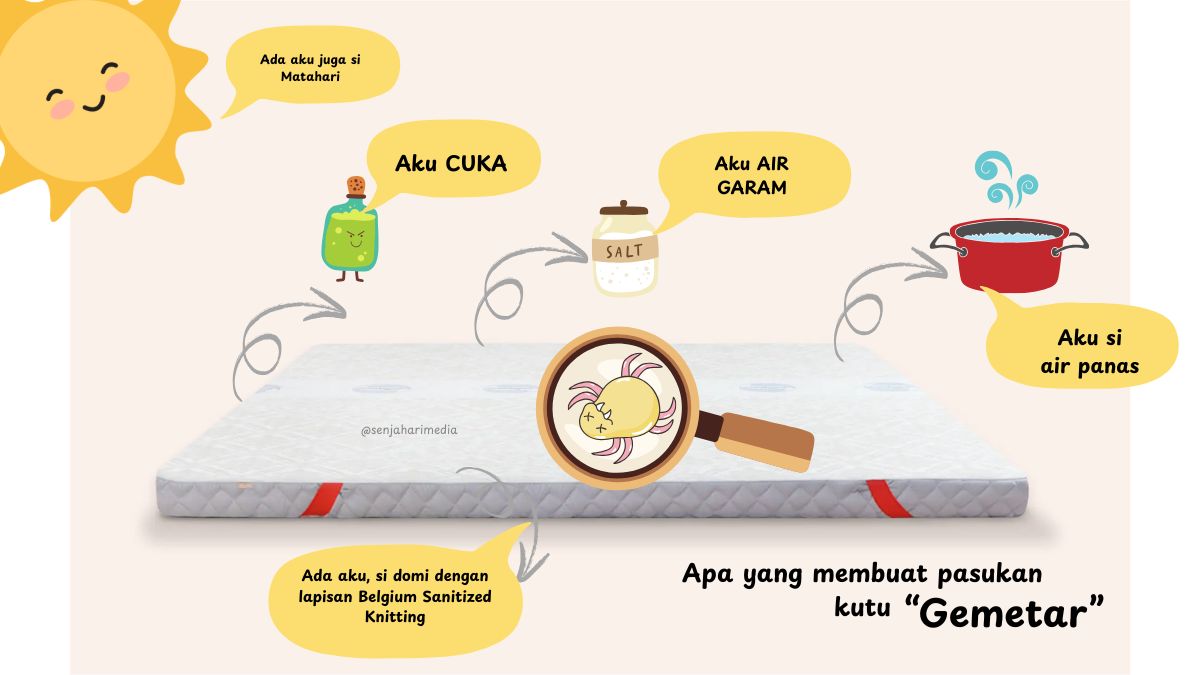 cara menghilangkan kutu kasur dan tungau dari domibed