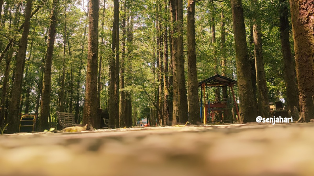 mengapa kita takut tak menjadi siapa-siapa