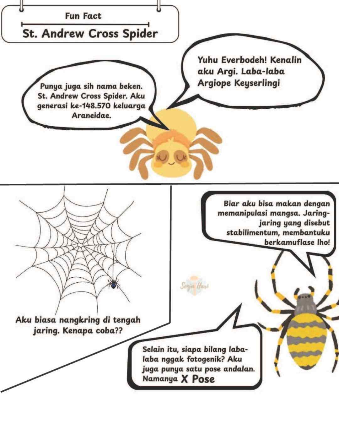 Laba-laba Argiope Keyserlingi