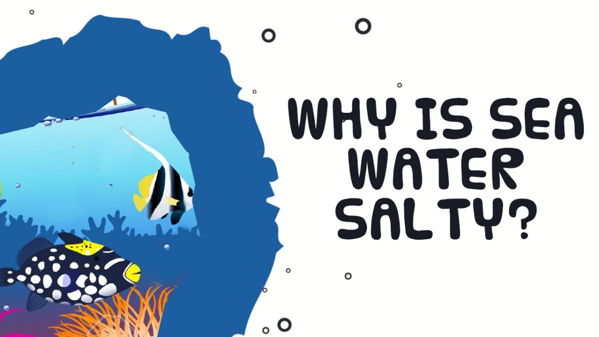 Mengapa Air Laut Asin